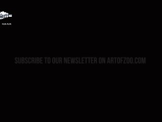 Zoobeeg Com - Zoo Porn